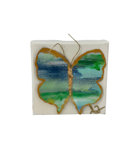 Butterfly 1