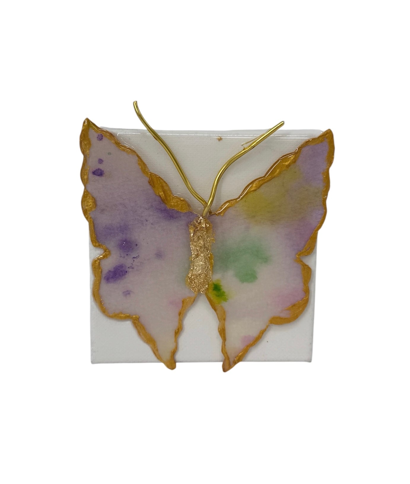 Butterfly 2