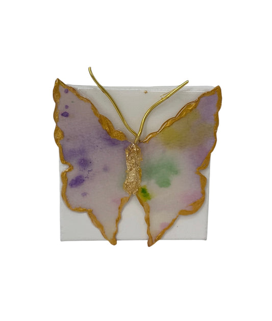 Butterfly 2