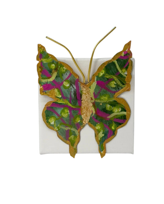 Butterfly 4